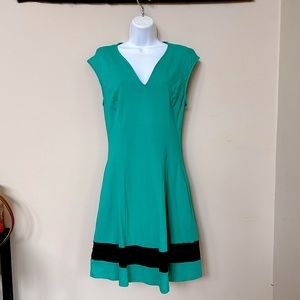NWOT New York & Company Green and Black Striped Fit and Flare Dress